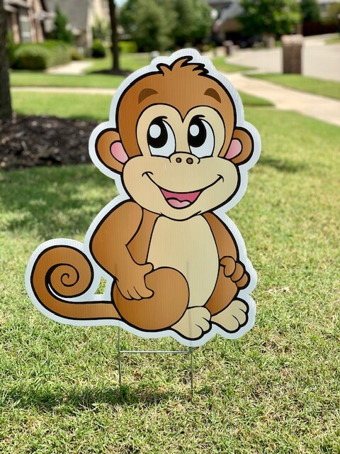 a baby monkey