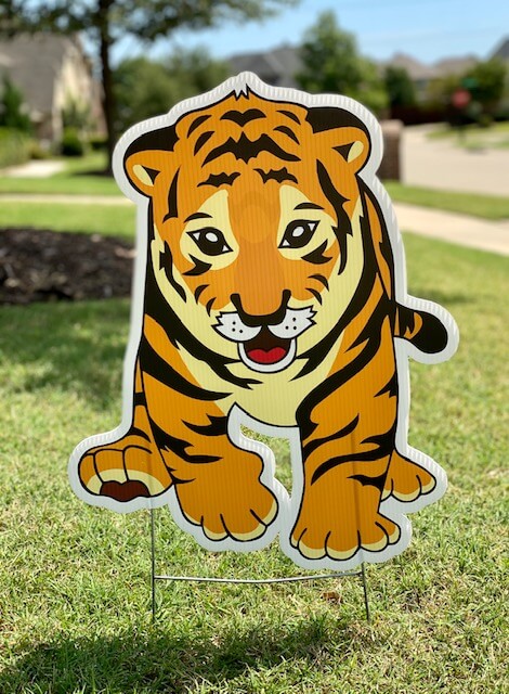 A tiger cub